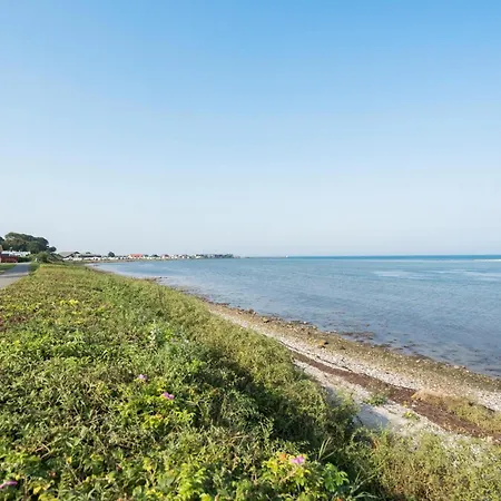 Amazing In With Wifi *